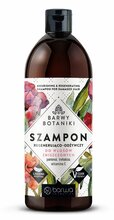 Taastav ja toitev šampoon kahjustatud juustele Barwa Botanical Colors, 480 ml