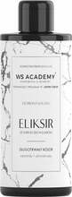 Hooldav šampoon värvitud ja pleegitatud juustele WS Academy Elixir, 250 ml