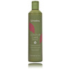 Kaitsev šampoon värvitud juustele Echosline Colour Care Shampoo, 300 ml