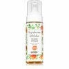Vahtšampoon kuivale ja tundlikule peanahale Anwen Peach & Coriander, 170 ml