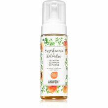 Vahtšampoon kuivale ja tundlikule peanahale Anwen Peach & Coriander, 170 ml