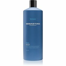 Niisutav šampoon Sebastian Professional Hydre, 1000 ml kuivadele ja kahjustatud juustele