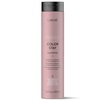 Šampoon värvitud juustele Lakme Teknia Color Stay, 300 ml