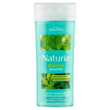Šampoon normaalsetele ja rasustele juustele Joanna Naturia Nettle & Green Tea, 100 ml