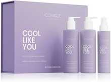 Komplekt naistele šampoon Iconique Professional Cool Like You Perfect Blonde & Silver Violet