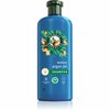 Niisutav šampoon kahjustatud juustele Herbal Essences Argan Oil Repair, 350 ml