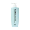 Intensiivselt niisutav šampoon Esthetic House CP-1 Aquaxyl Complex Intense Moisture Shampoo, 100 ml
