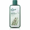 Šampoon kahjustatud juustele Farmona Herbal Care Horsetail, 330 ml