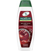 Šampoon värvitud juustele Palmolive Naturals Brilliant Color, 350 ml