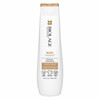 Tugevdav šampoon kahjustatud juustele Biolage Bond Therapy, 250 ml