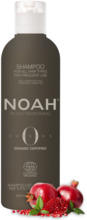 Šampoon igapäevaseks kasutamiseks Noah Origins, 250 ml