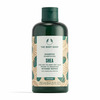 Taastav šampoon kuivadele juustele The Body Shop Shea, 250 ml