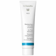Šampoon Dr. Hauschka Med Ice Plant, 150 ml