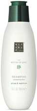 Toitev ja läiget andev šampoon Rituals The Ritual of Jing, 250 ml