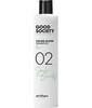Šampoon värvitud juustele Art Go Good Society Color Glow 02, 250 ml