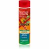 Šampoon keratiiniga Novex Brazilian Keratin, 300 ml
