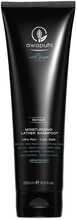 Niisutav šampoon kuivadele juustele Paul Mitchell Awapuhi, 250 ml