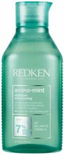 Puhastav šampoon rasusele peanahale Redken Amino Mint, 300 ml