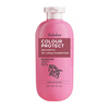Šampoon värvitud juustele Shakebar Colour Protect, 300 ml