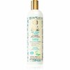 Šampoon rasustele juustele Natura Siberica Mint, Bereza & Retinol, 400 ml