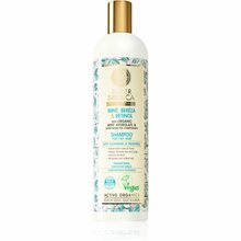 Šampoon rasustele juustele Natura Siberica Mint, Bereza & Retinol, 400 ml