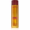 Toitev šampoon Alcina Nutri Shine argaaniaõliga, 250 ml