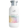Šampoon värvitud juustele Wella Color Motion, 250 ml
