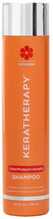 Šampoon värvitud juustele Keratherapy Keratin Infused Color Protect, 300 ml