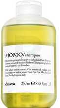 Niisutav šampoon kuivadele juustele Davines Essential Haircare Momo, 250 ml