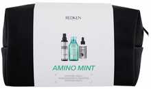 Juuksehoolduskomplekt Redken Amino-Mint, 300 ml