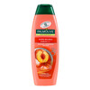 Šampoon ja palsam Palmolive Naturals Hydra Balance 2in1, 350 ml
