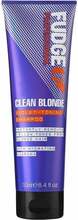 Tooniv šampoon blondidele juustele Fudge Clean Blonde violetsete pigmentidega, 250 ml