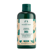 Taastav šampoon kuivadele juustele The Body Shop Shea Intense Repair, 250 ml