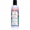 Šampoon värvitud juustele Natura Siberica Taiga Siberica kadakamarjadega, 270 ml