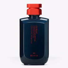 Niisutav värvikaitse šampoon R+Co BLEU Primary Color, 251 ml