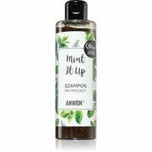 Kooriv šampoon Anwen Mint It Up, 200 ml