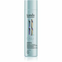 Õrn šampoon tundlikule peanahale Londa Professional Calm, 250 ml