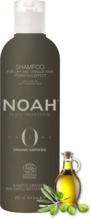 Niisutav šampoon kuivadele juustele Noah Origins, 250 ml