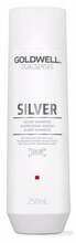 Šampoon heledatele ja hallidele juustele Goldwell Dualsenses Silver, 250 ml