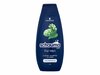 Šampoon meestele Schwarzkopf Schauma For Men, 400 ml