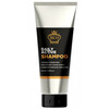 Niisutav šampoon meestele Rich Daily Active Shampoo, 250 ml