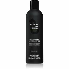 Juukseid tugevdav šampoon meestele Alfaparf Milano Blends of Many Energizing Low Shampoo, 250 ml