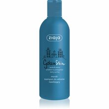 Niisutav šampoon kuivadele juustele Ziaja GdanSkin Marine, 300 ml