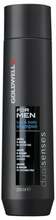 Šampoon-dušigeel meestele Goldwell Dualsenses For Men, 300 ml
