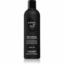 Kõõmavastane šampoon meestele rasusele peanahale Alfaparf Milano Blends of Many Rebalancing, 250 ml
