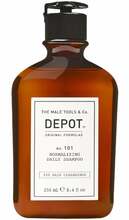 Normaliseeriv igapäevane šampoon Depot No. 101, 250 ml