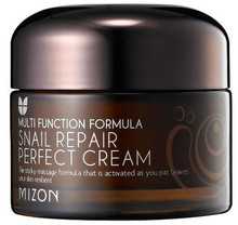 Taastav näokreem teolimaga Mizon Snail Repair Perfect Cream, 50 ml