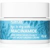 Niisutav näokreem Floslek Niacinamide, 50 ml