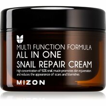 Näokreem Mizon All In One Snail Repair Cream, 120 ml