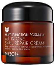 Mitmeotstarbeline näokreem Mizon All In One Snail Repair Cream, 75 ml